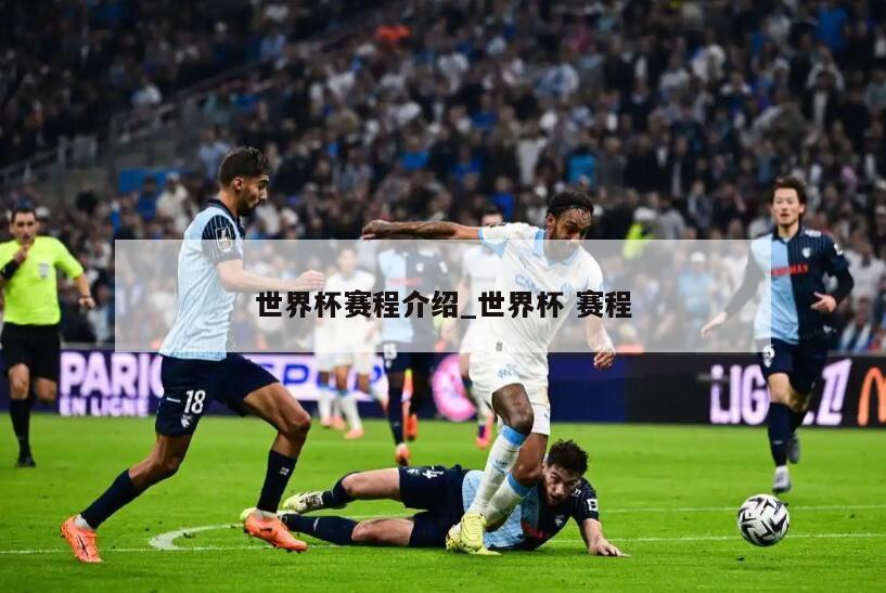 世界杯赛程介绍_世界杯 赛程