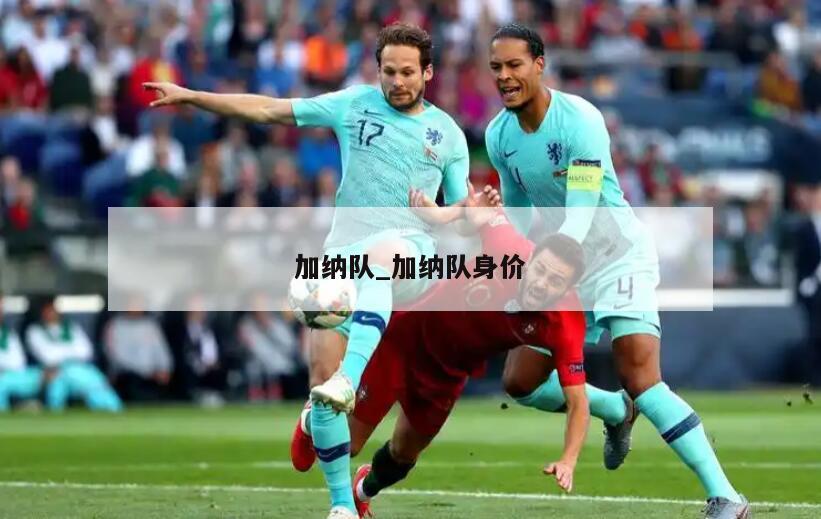 加纳队_加纳队身价