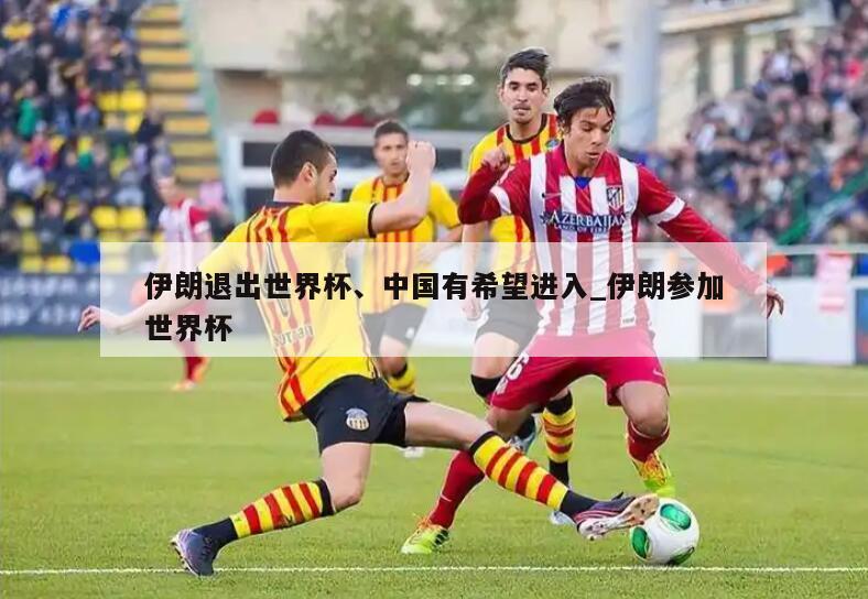 伊朗退出世界杯、中国有希望进入_伊朗参加世界杯