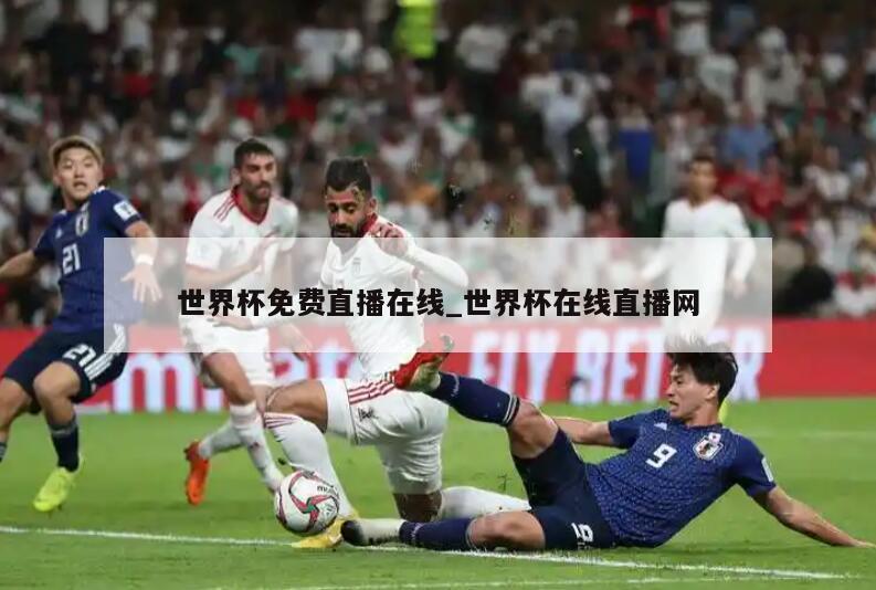 世界杯免费直播在线_世界杯在线直播网