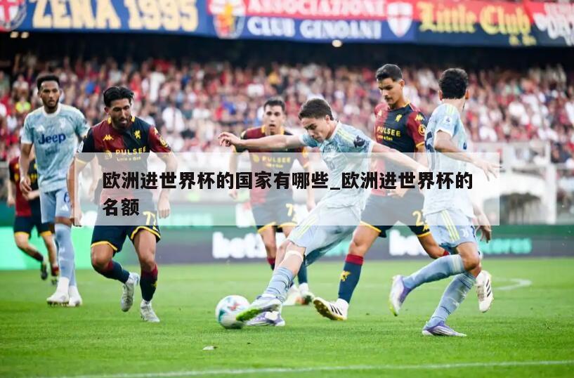 欧洲进世界杯的国家有哪些_欧洲进世界杯的名额