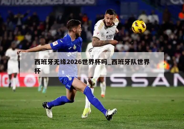 西班牙无缘2026世界杯吗_西班牙队世界杯