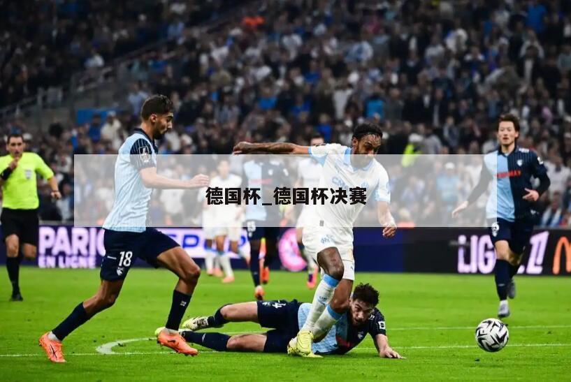 德国杯_德国杯决赛