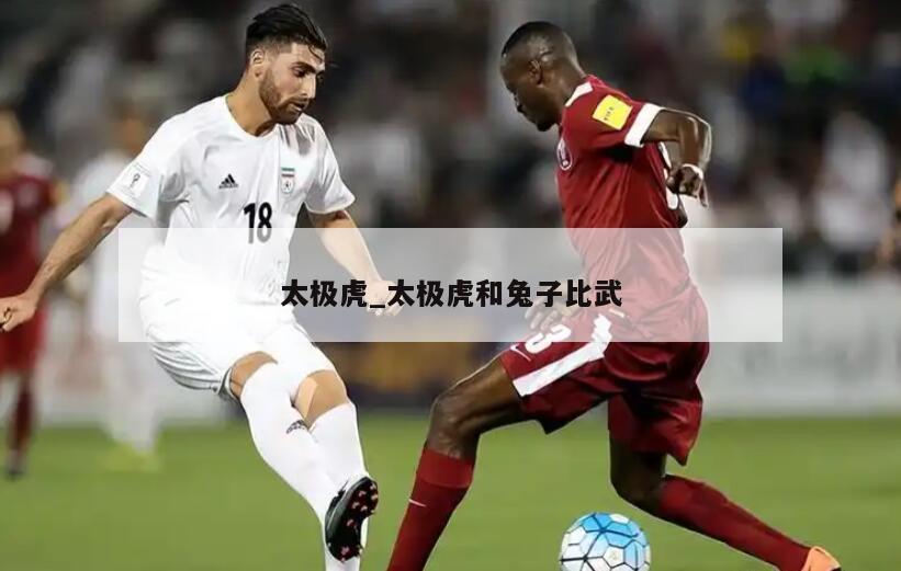 太极虎_太极虎和兔子比武