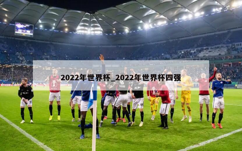 2022年世界杯_2022年世界杯四强