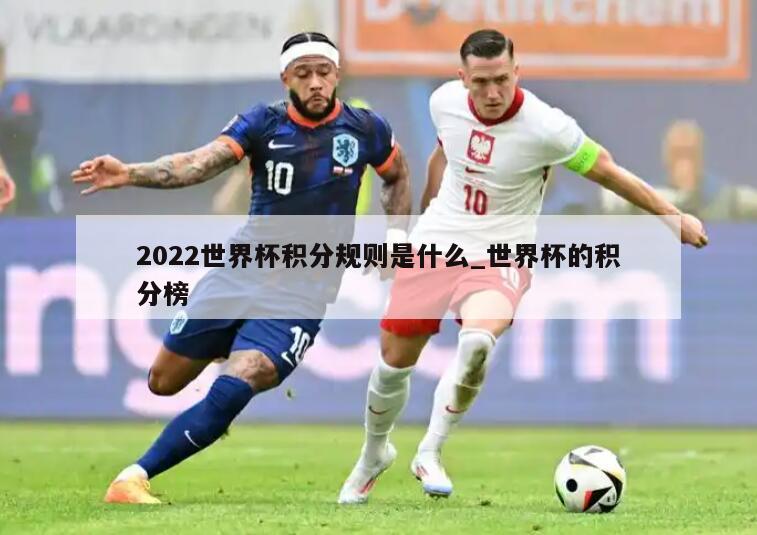 2022世界杯积分规则是什么_世界杯的积分榜