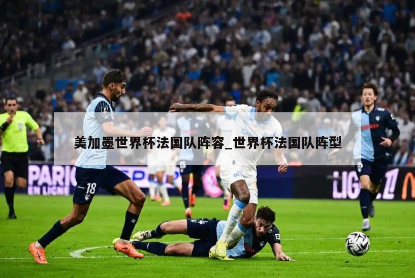 美加墨世界杯法国队阵容_世界杯法国队阵型