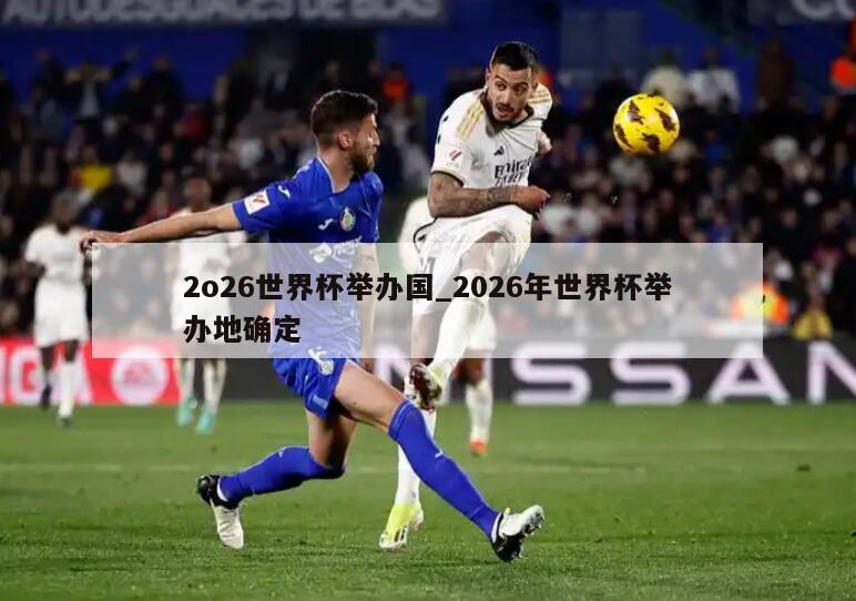 2o26世界杯举办国_2026年世界杯举办地确定