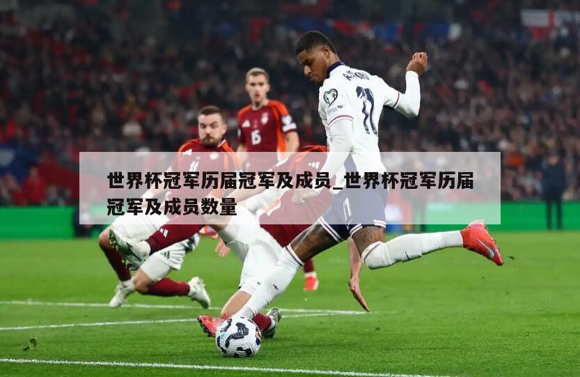 世界杯冠军历届冠军及成员_世界杯冠军历届冠军及成员数量