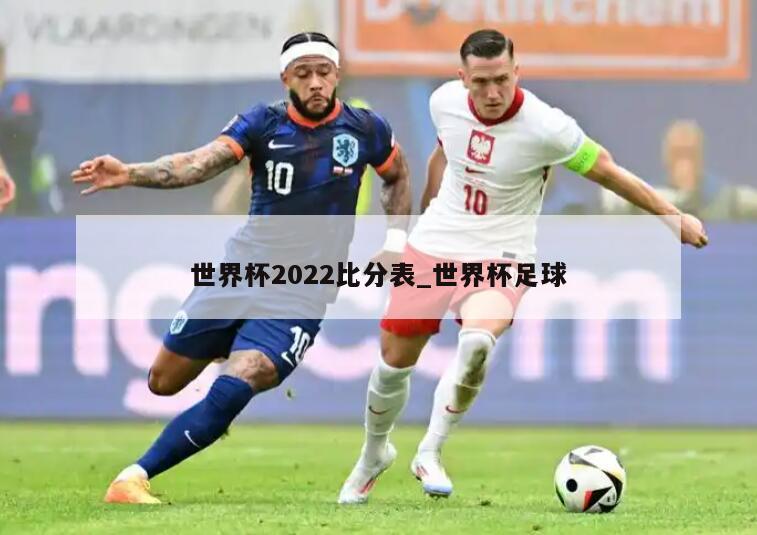 世界杯2022比分表_世界杯足球