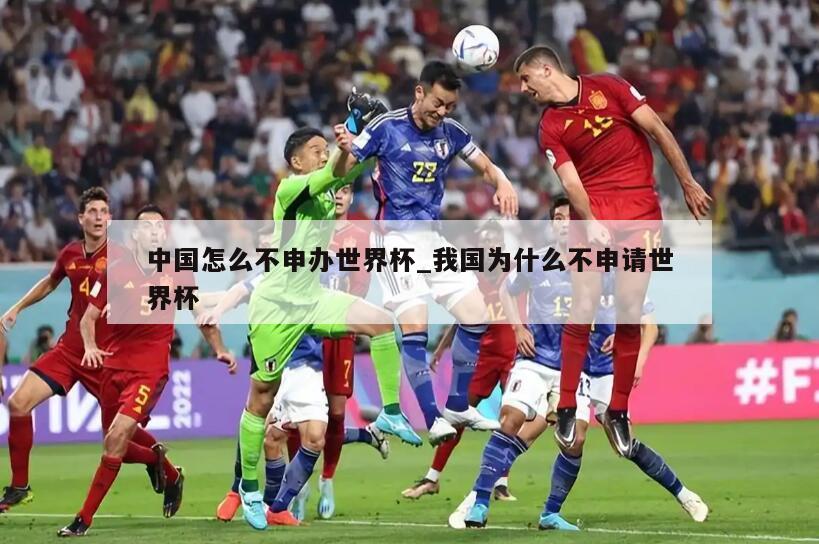 中国怎么不申办世界杯_我国为什么不申请世界杯