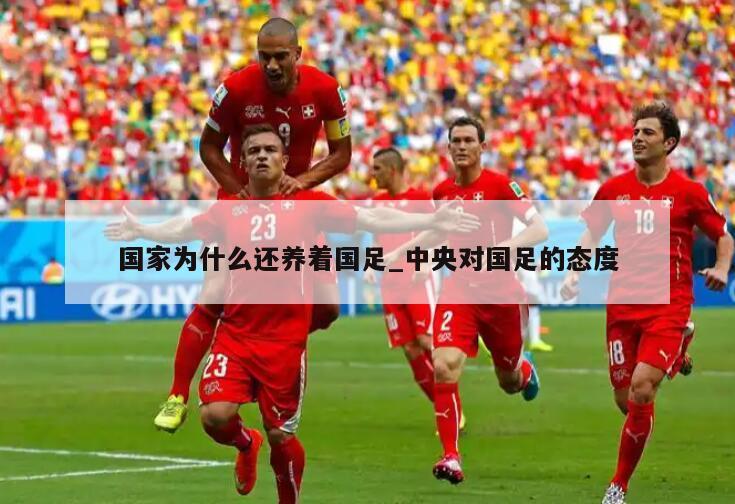 国家为什么还养着国足_中央对国足的态度