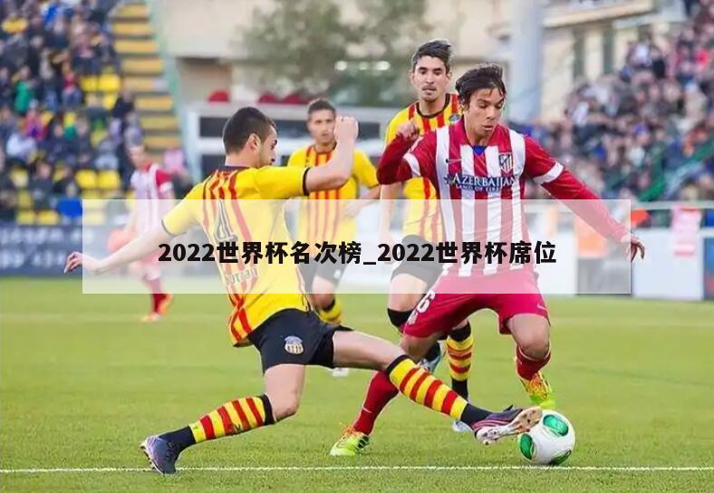 2022世界杯名次榜_2022世界杯席位