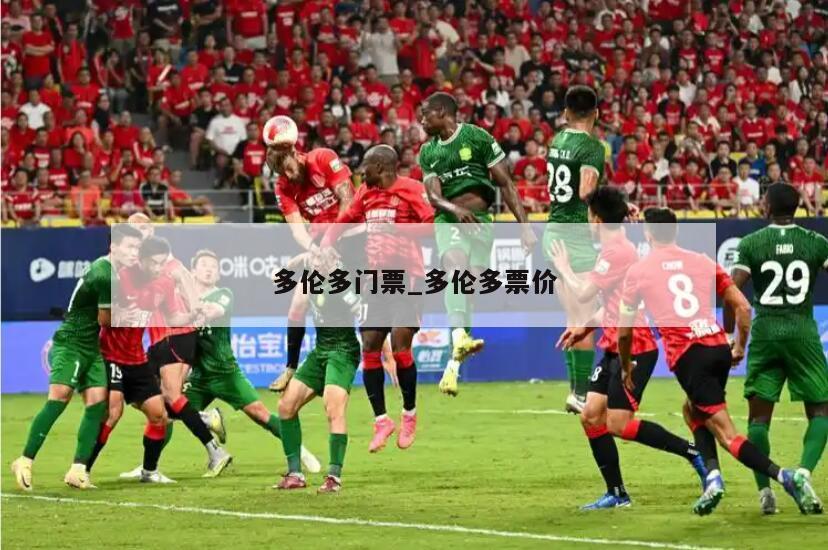 多伦多门票_多伦多票价