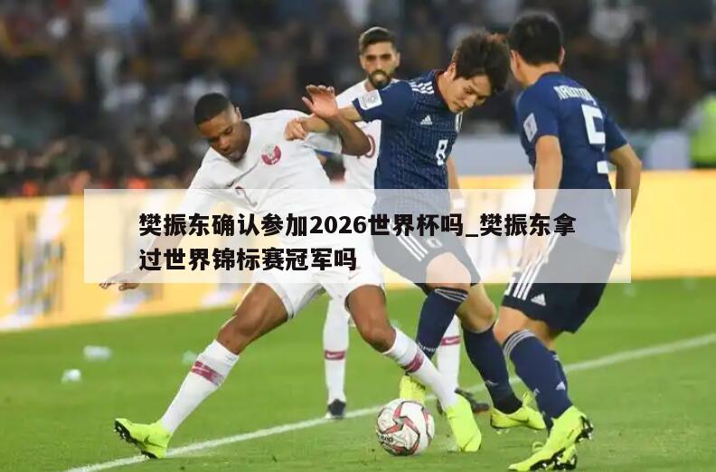 樊振东确认参加2026世界杯吗_樊振东拿过世界锦标赛冠军吗